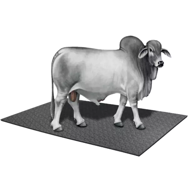 Farming / Cow Mat
